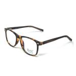 Wayfarer Brown DA Frame – Kids tr 10521